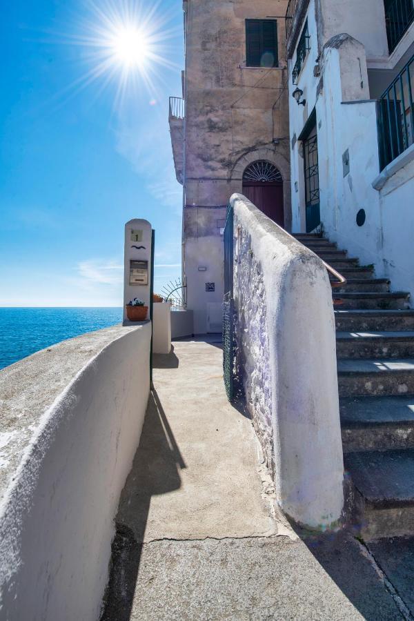 Il Nido Del Gabbiano Apartamento