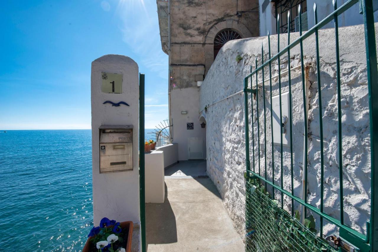 Il Nido Del Gabbiano * Minori